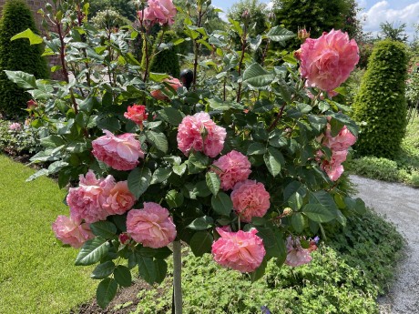65bd4ecb-f262-4115-950c-ba45b0235b49