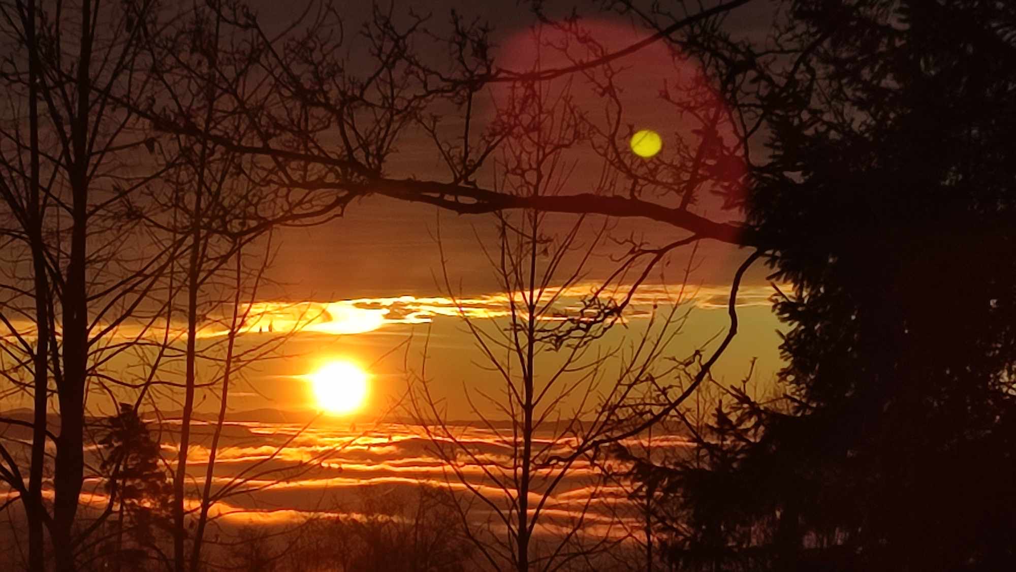 3a88fba2-3279-40be-bb96-152c19968954