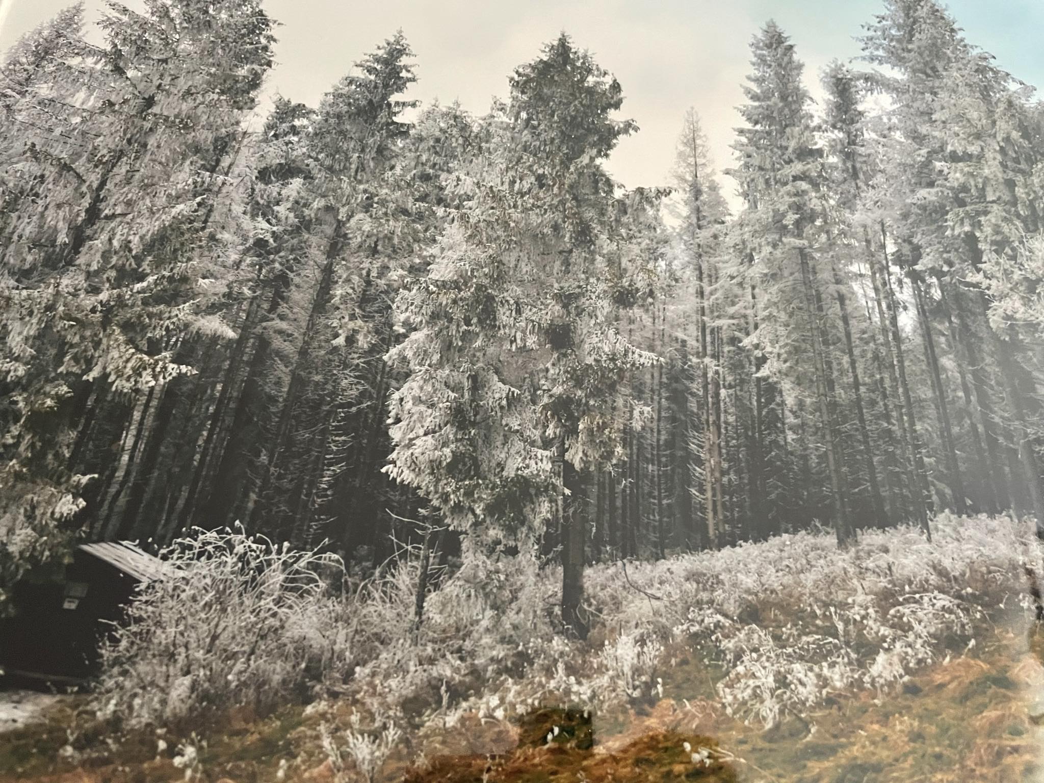 4e50578a-0e3b-40e8-968d-b1236fe80d90